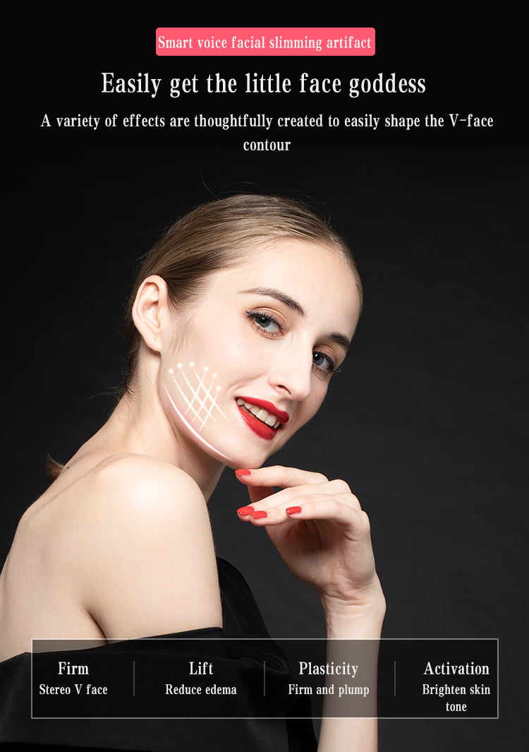HOUZAIDE- World Of Wellness & Care Smart Face Massager (HA401)
